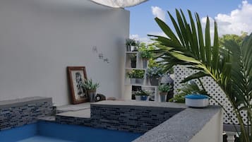 A pool with a blue tiled edge, surrounded by a white wall and a white canopy. There are potted plants and a framed picture on the wall.