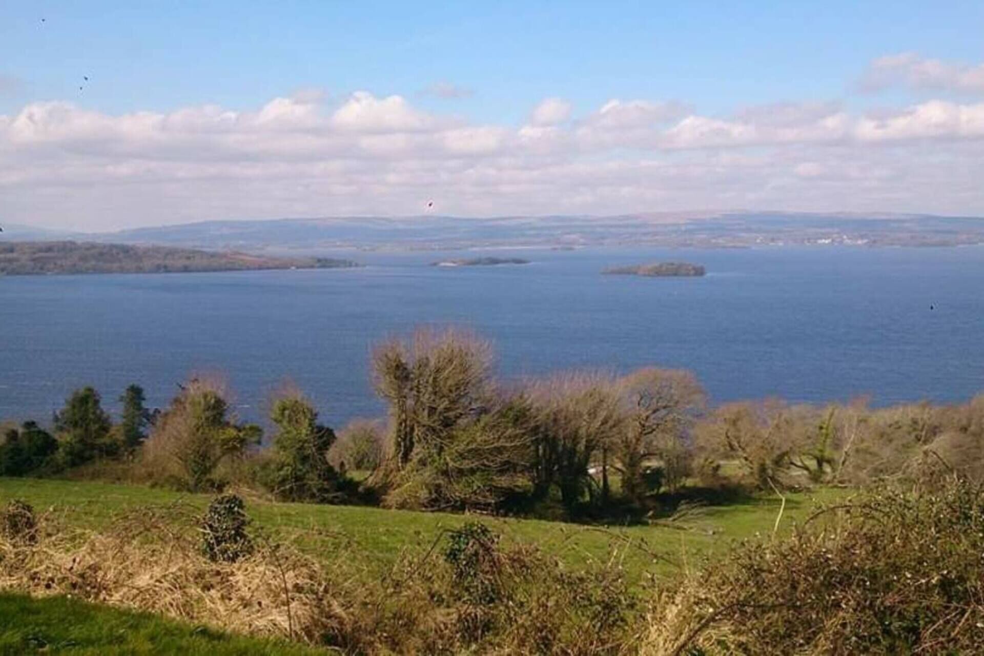 Paesaggio costiero con un'ampia distesa d'acqua, zone erbose e alberi sparsi.