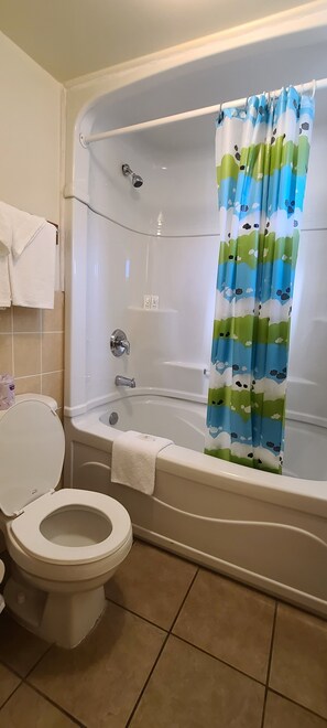 Hair dryer - Choice Inn by the Falls (Niagara Falls)