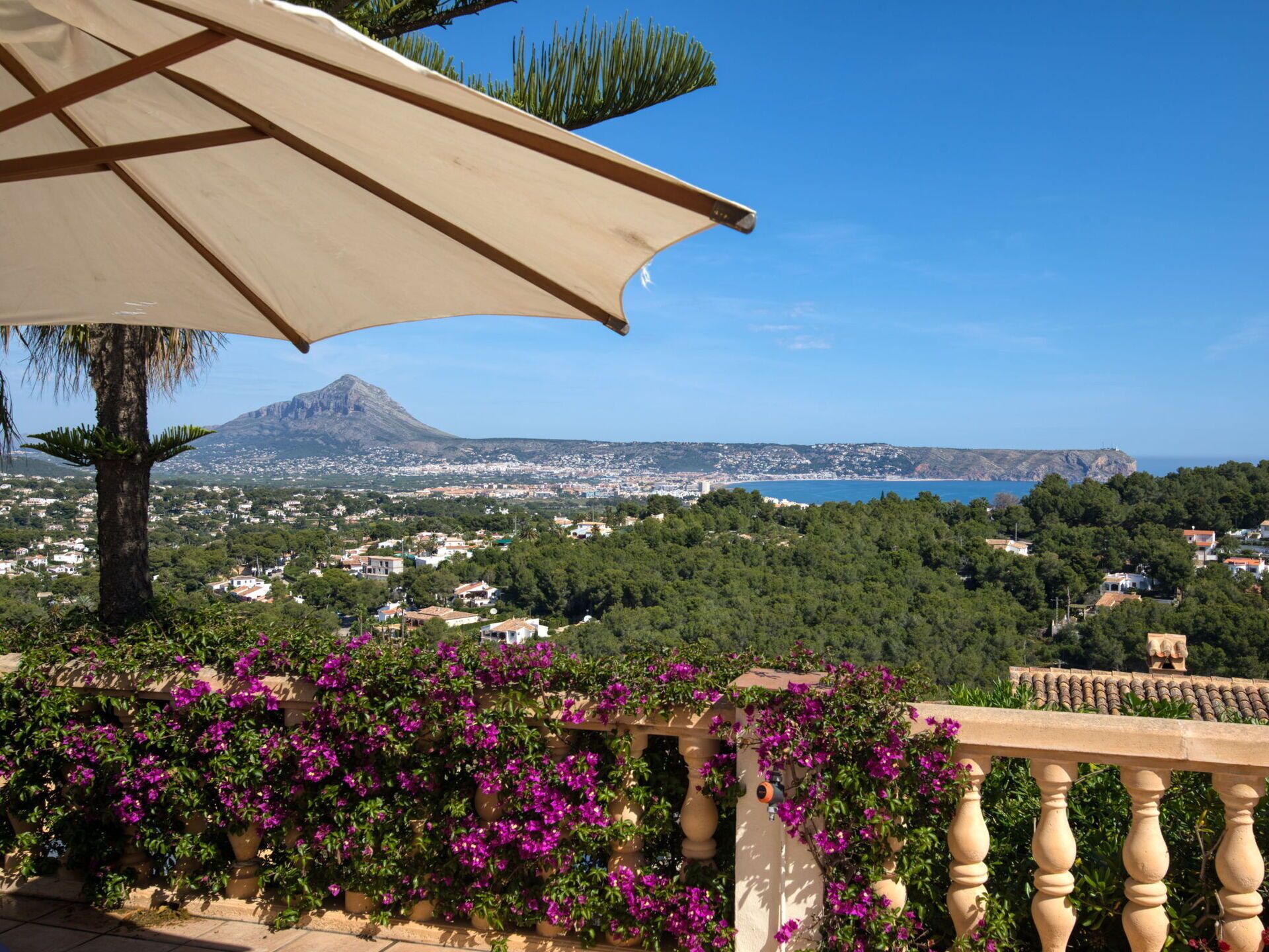 A balcony with a view of a coastal town, a mountain in the background, and purple flowers in the foreground.
