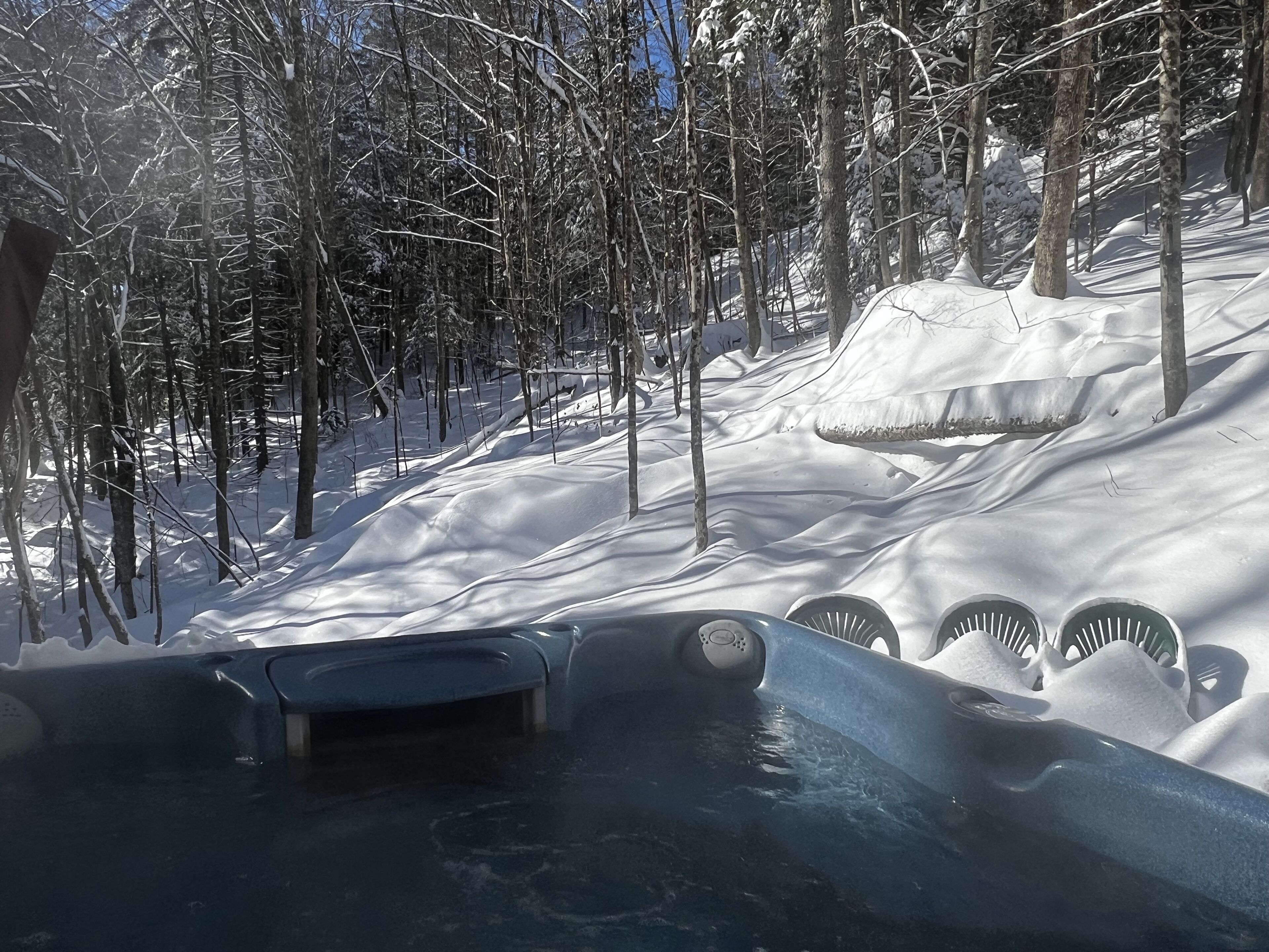 Maple Dreams - Cabin w/ Hot Tub on Wooded Lot in heart of the Green Mountains