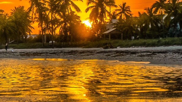 A sunset over a beach with palm trees and a person walking.
