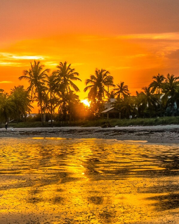 ビーチの近く、ビーチタオル