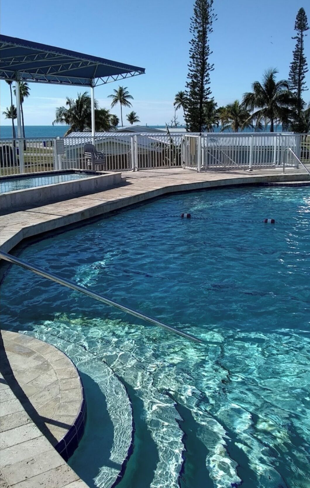 A clear blue pool with two people swimming, surrounded by palm trees and a covered area.
