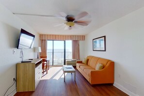 电视、DVD 播放器、影片库