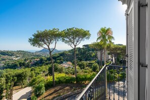 A balcony with a view of a lush landscape, including trees and a distant town.