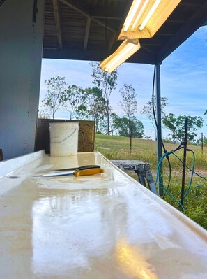 Parco della struttura