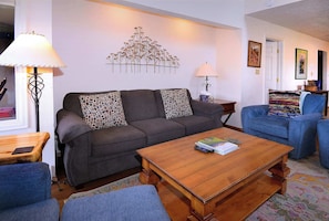 TV, fireplace, offices - Cottonwood Comfort, Ski in/out, Hot tub, Dog friendly (Mt Crested Butte)