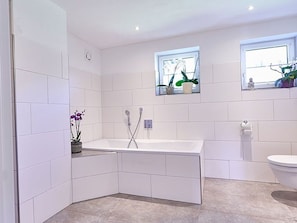 Shower, hair dryer, towels, toilet paper