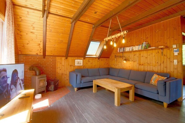 تلفزيون، مدفأة