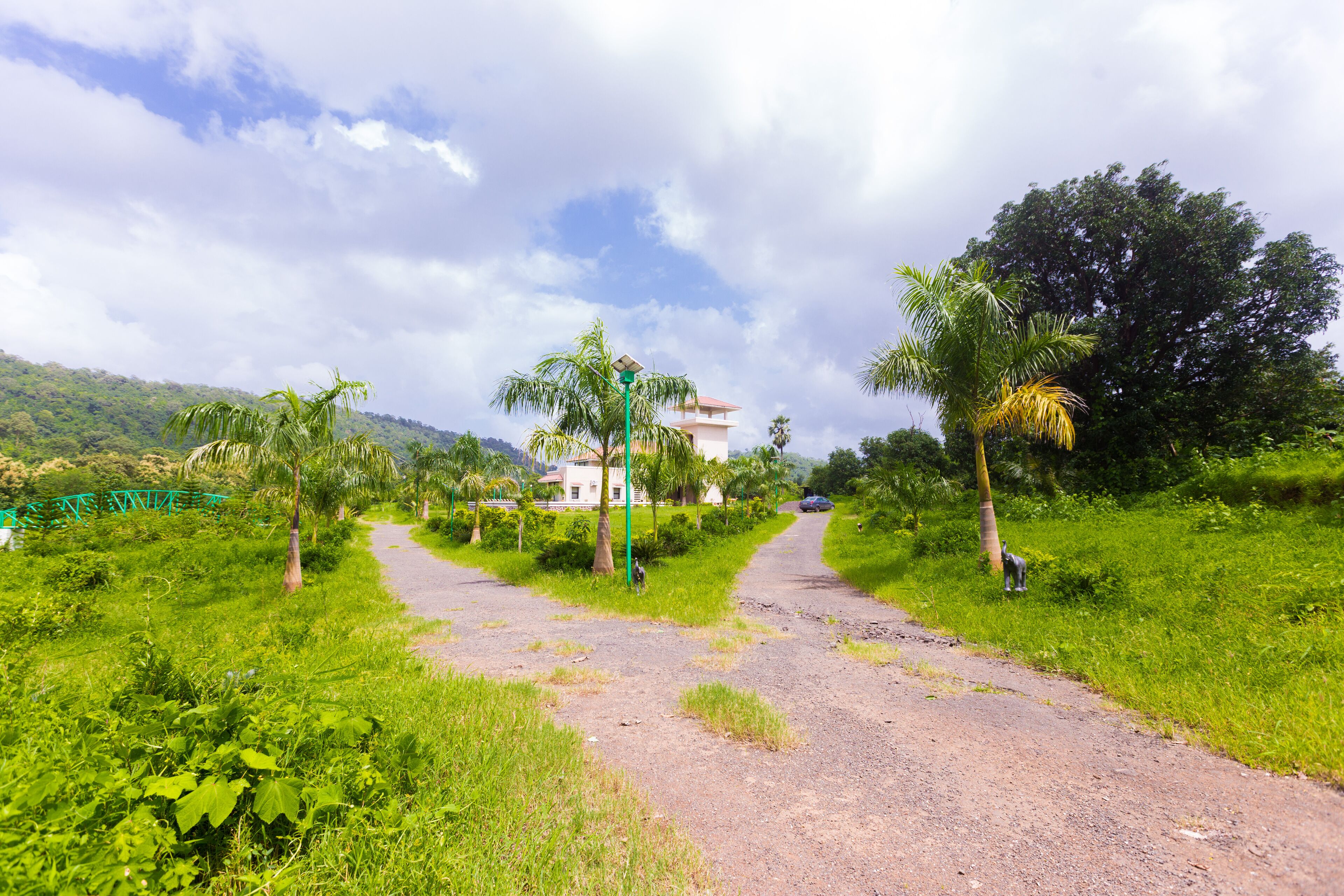 A pathway leading to a building surrounded by lush greenery and palm trees.