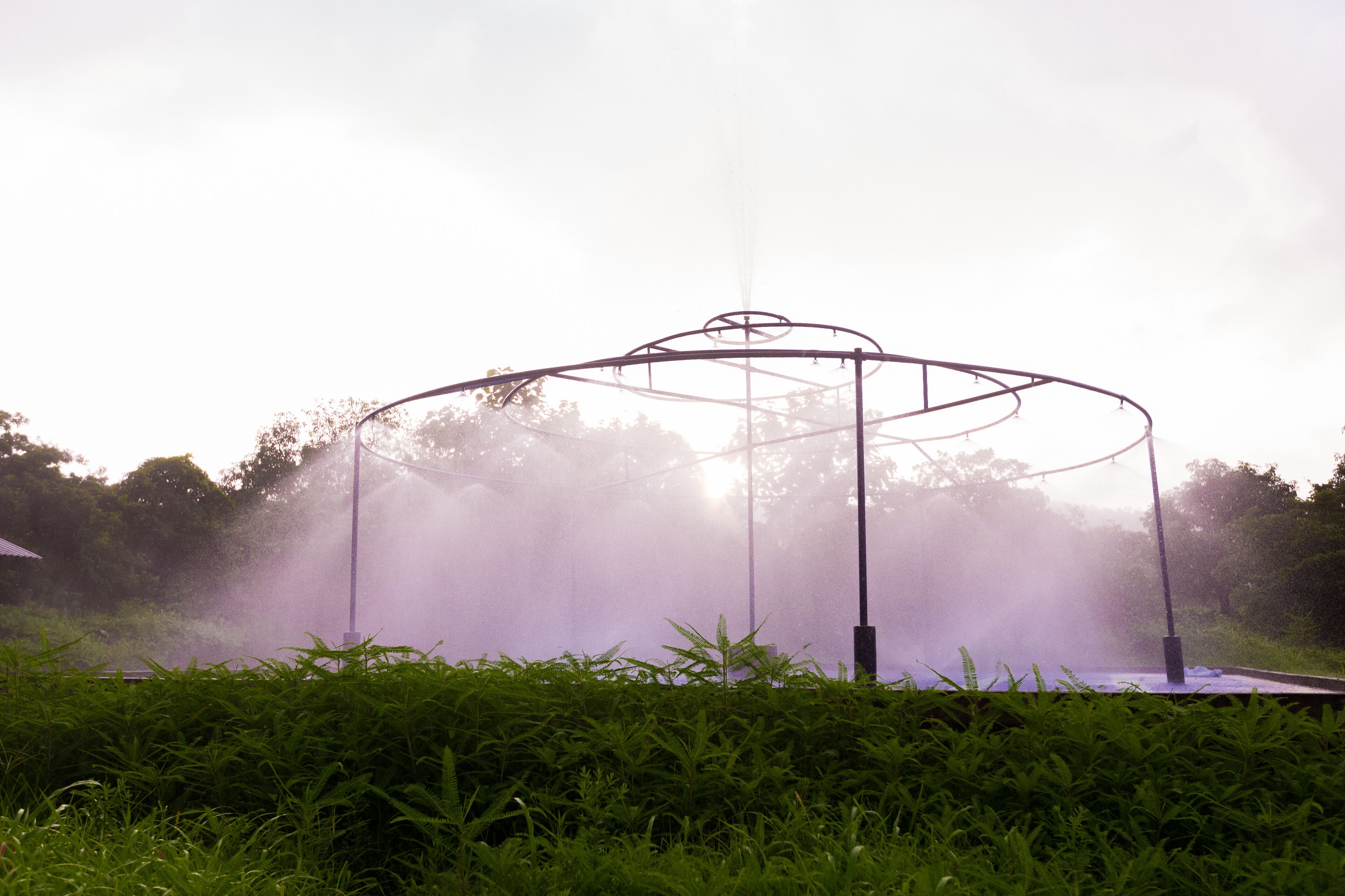 A metal gazebo structure surrounded by lush green grass.