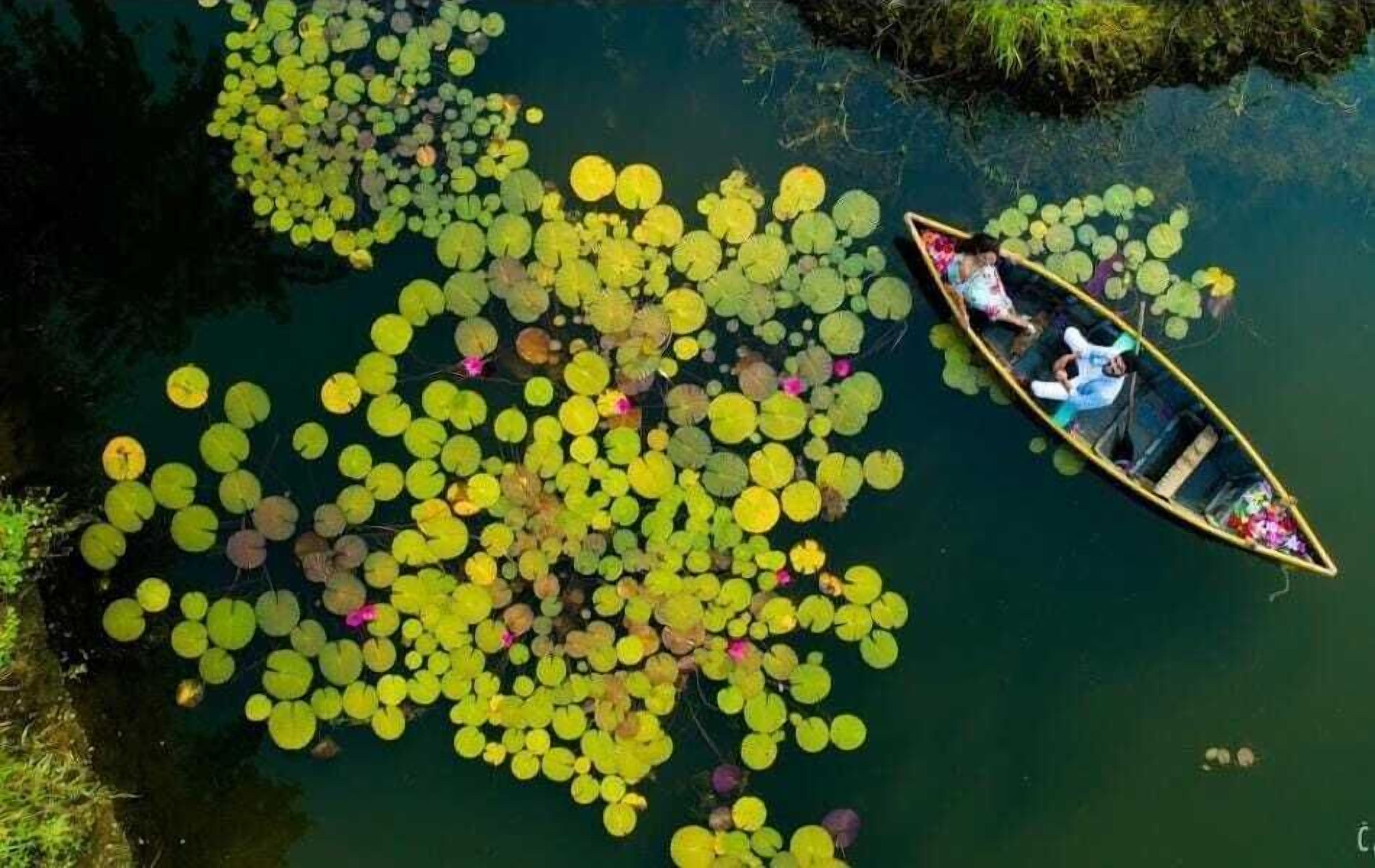 Ein Boot auf einem Teich, umgeben von Seerosenblättern.