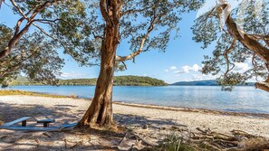 Blick auf einen See mit Sandstrand, Picknicktisch und einem großen Baum, der Schatten spendet.