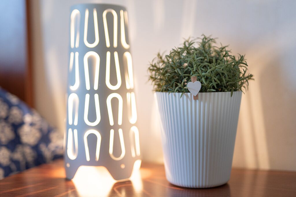 Une plante en pot, aux feuilles blanches, ornée d’un motif en forme de cœur, et une lampe blanche à motifs géométriques.