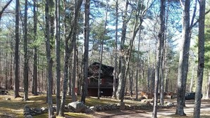 A forested campground with a dirt path leading to a cabin.