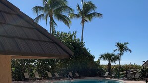 A swimming pool with lounge chairs and palm trees in the background. - 2 Bed South End Beachfront Condo at Popular Seawinds (Marco Island)