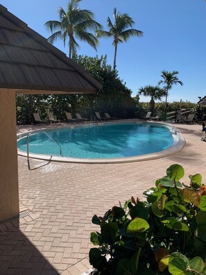 Ein Swimmingpool mit Liegestühlen und Palmen im Hintergrund.