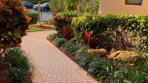 Un sendero pavimentado bordeado de diversas plantas y arbustos, que conduce a un edificio con una ventana.