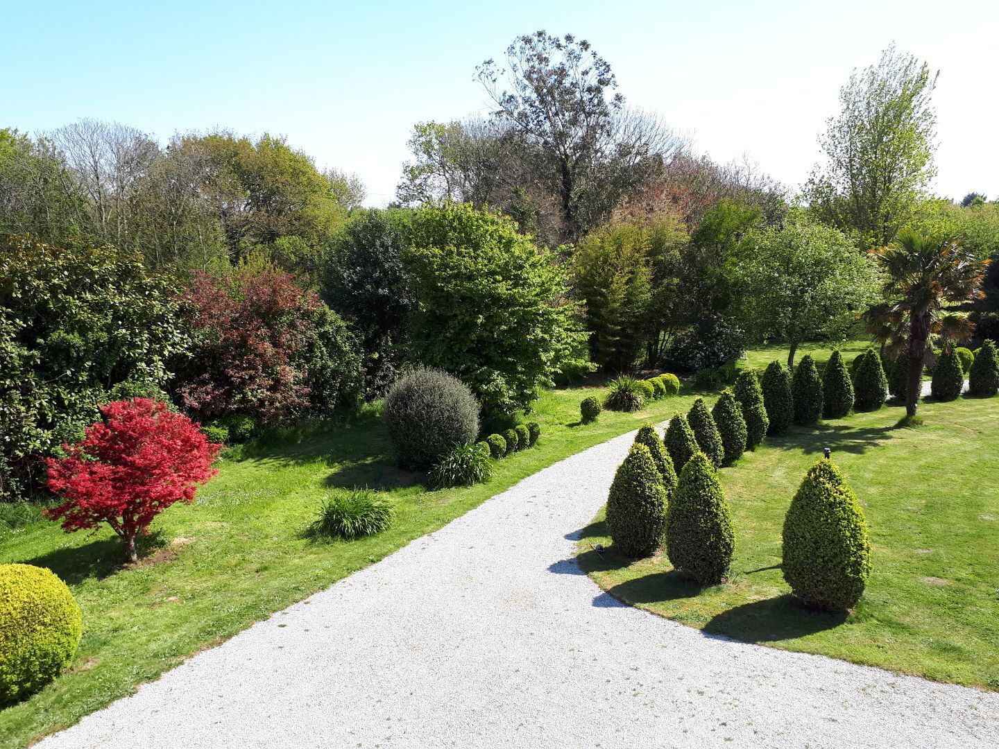 A well-maintained garden with a gravel path, neatly trimmed hedges, and a variety of trees and shrubs.