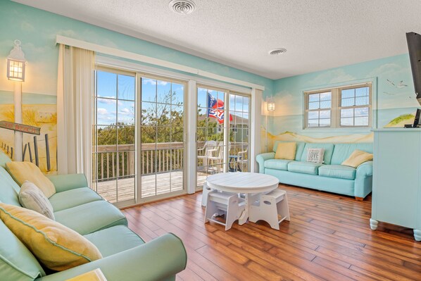 Smart TV, DVD player, books, video library