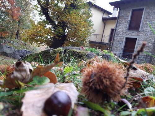Appartamento Immerso nel Bosco, a Pochi Passi dal Centro