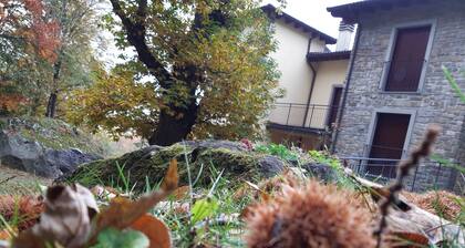 Appartamento Immerso nel Bosco, a Pochi Passi dal Centro