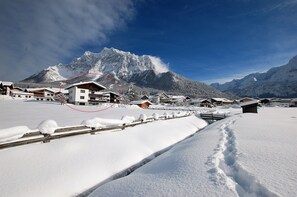 Sneeuw- en skisporten