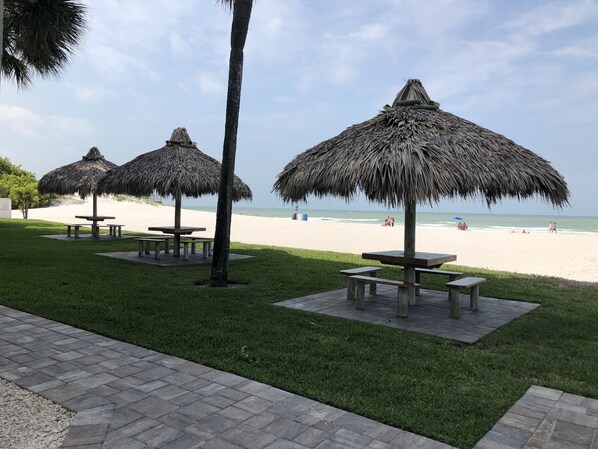 En la playa y camastros 