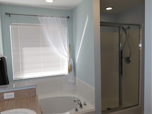 Combined shower/tub, hair dryer, towels, soap