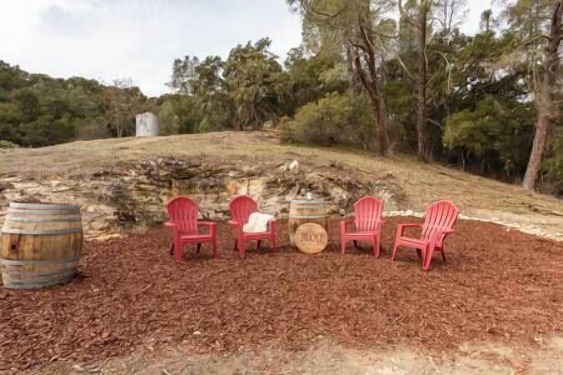A seating area with four red chairs and a wooden barrel, surrounded by mulch and trees.
