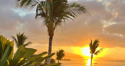 OCEAN FRONT ULTRA LUXURIOUS PENTHOUSE WITHIN THE PRIVATE GATES OF PUNTA MITA!