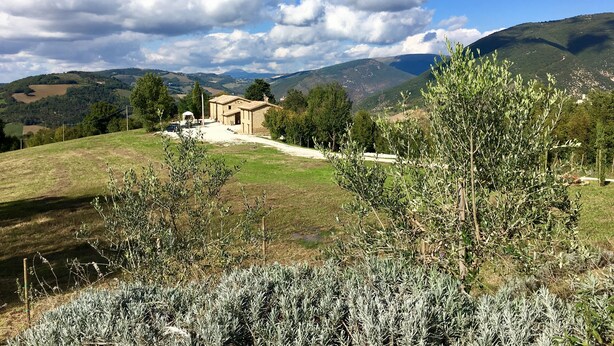 A rural landscape with a single-story building surrounded by olive trees and rolling hills in the background. - Fonte Rosa farmhouse with pool (Fiastra)