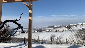Vinhedo com fileiras de videiras e uma estrutura de pérgola de madeira.