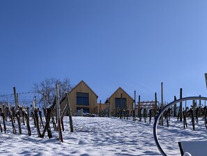 Property grounds - Weinberg Chalet - Urlaub im Weingarten (Klöch)