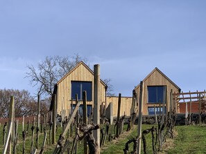 Exterior - Weinberg Chalet - Urlaub im Weingarten (Klöch)