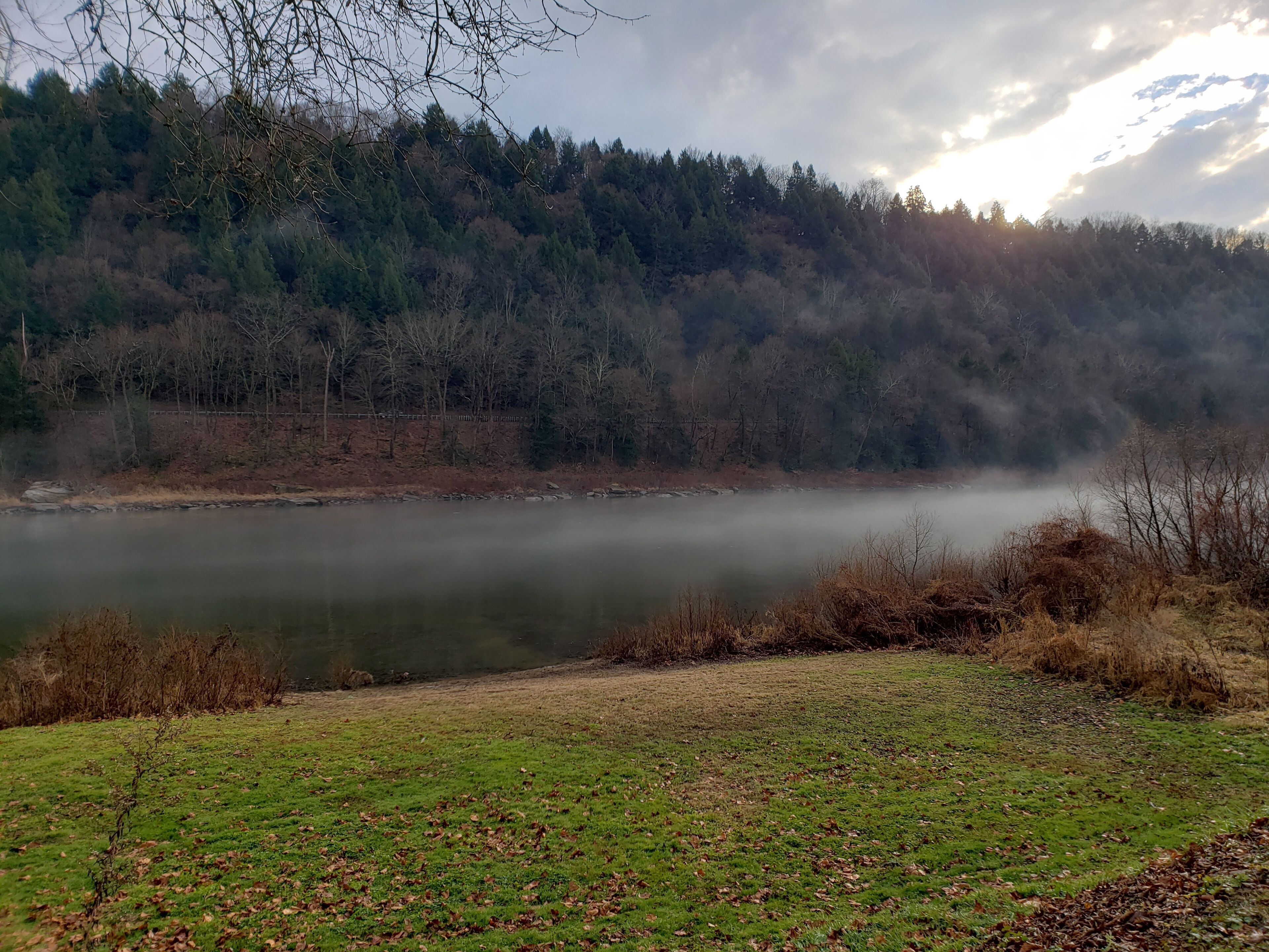 Un paysage paisible avec un lac tranquille, entouré d’une forêt dense et d’un pré verdoyant au premier plan.