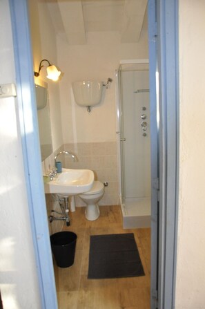 Shower, hair dryer, towels