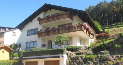 Haus Marlene - Ferienwohnung, 4 Pers., Südbalkon