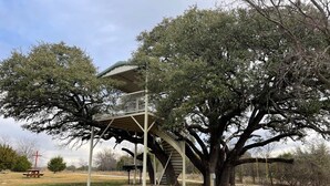 Une cabane perchée dans un arbre, construite autour d’un grand arbre, avec une plateforme et un escalier menant à celle-ci.