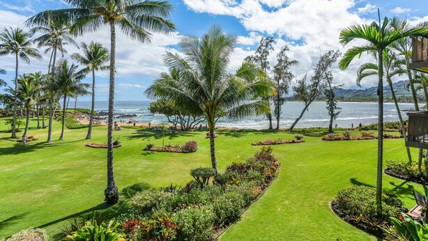 A well-maintained garden with palm trees and a view of the ocean. - "Magical View" oceanfront condo Lae Nani #521 (Kapaa)