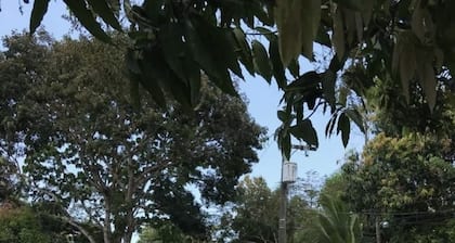 Paraíso Tropical 504