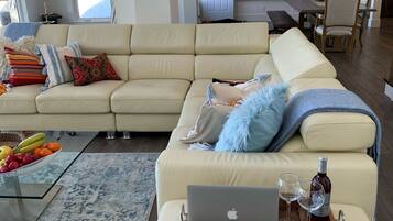 智能電視、壁爐、DVD 播放機、影像庫