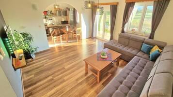 Älytelevisio, stereot