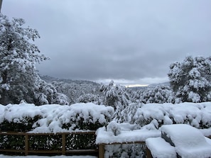 Escape to a serene winter wonderland with breathtaking views of snow-covered trees and the surrounding landscape.