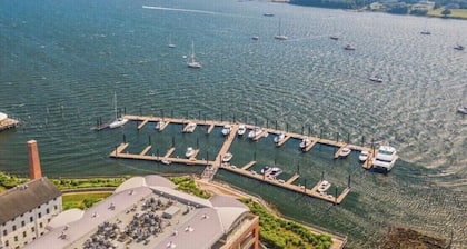 Huge apartment in Bristol Beautiful Historical home with pool and playground