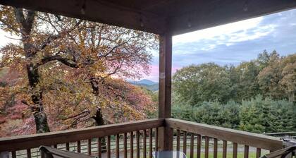 Remote cabin with gorgeous view and sunsets, pets free, fast Wi-Fi!