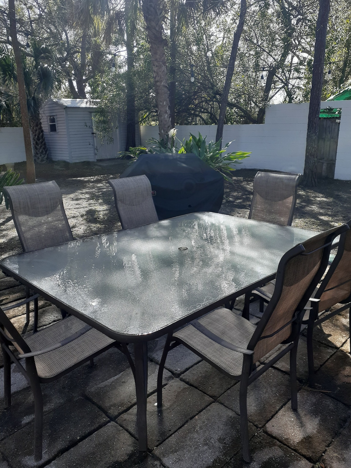 Photo 28 of Casa Coquina ~ Walk to Downtown ~ CLEAN, QUIET, SPACIOUS, HUGE PRIVATE YARD