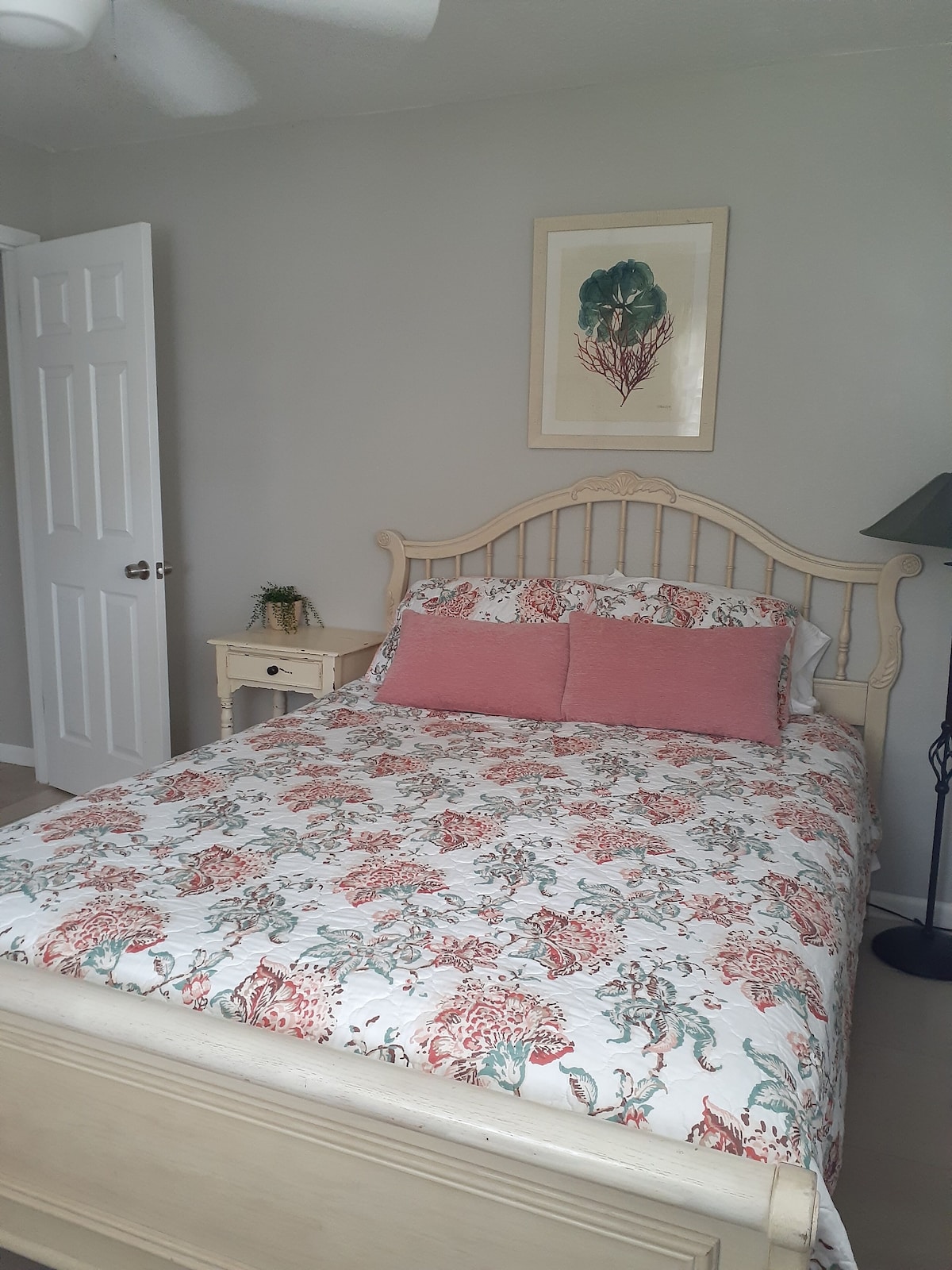 Photo 20 of Casa Coquina ~ Walk to Downtown ~ CLEAN, QUIET, SPACIOUS, HUGE PRIVATE YARD