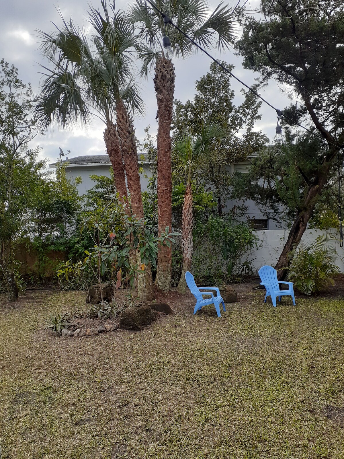 Photo 26 of Casa Coquina ~ Walk to Downtown ~ CLEAN, QUIET, SPACIOUS, HUGE PRIVATE YARD